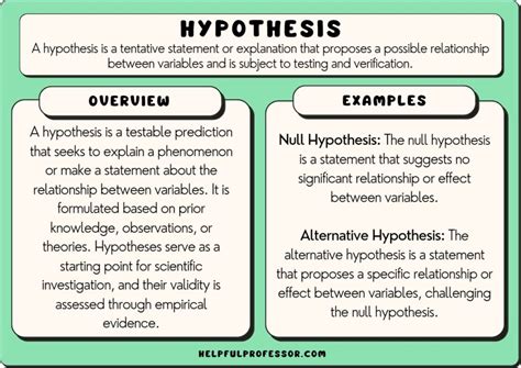 examples of a hypothesis.